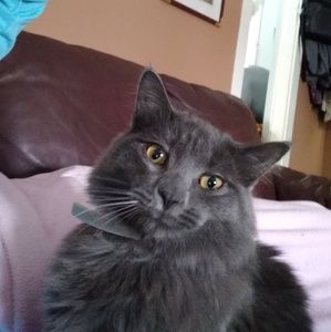 Meet your Posher, Linsay